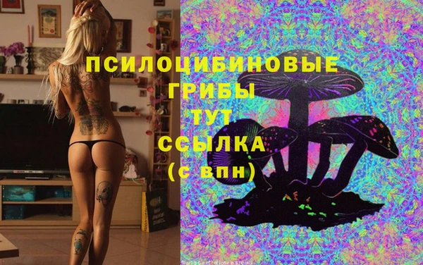 кокаин премиум Карпинск