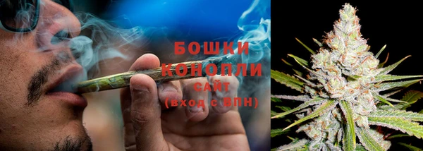 прущие крисы Касимов