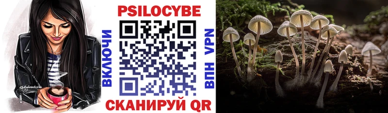 Галлюциногенные грибы Psilocybe  Купить закладки  Менделеевск 